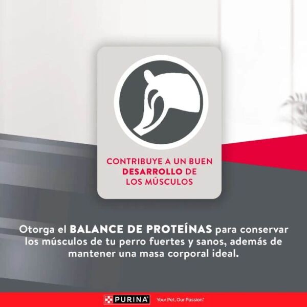 <strong>Purina Excellent</strong> Mantenimiento, Alimento Seco para Perro Adulto, Todos los Tamaños, bolsa de 15 kg - Imagen 5
