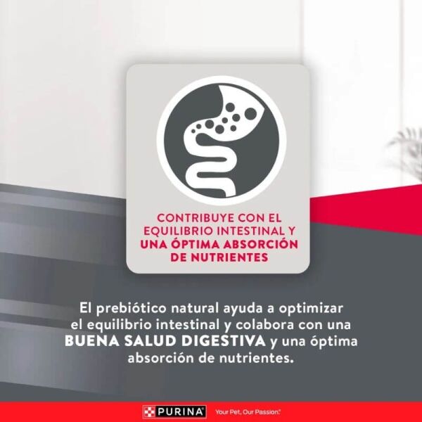 <strong>Purina Excellent</strong> Mantenimiento, Alimento Seco para Perro Adulto, Todos los Tamaños, bolsa de 15 kg - Imagen 6