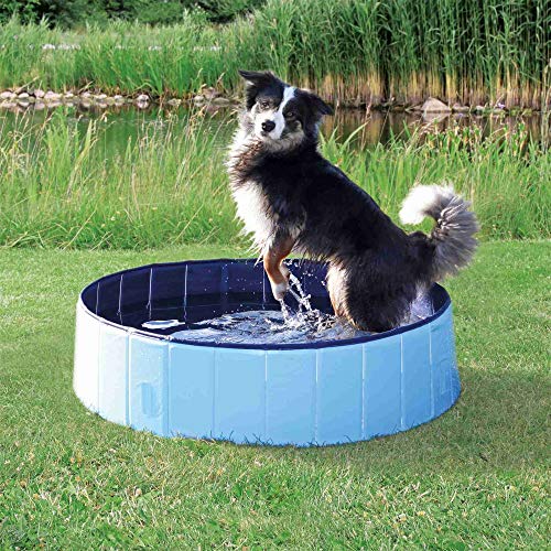 <strong>Marben Pets</strong> Piscina para Mascotas, 30 x 80 cm - Imagen 2