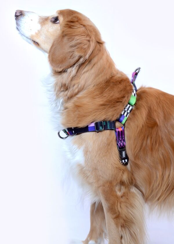 <strong>Wauke</strong> Non-Pull Glitch, Arnés Anti-Tirones para Perros, Tallas S - Imagen 2