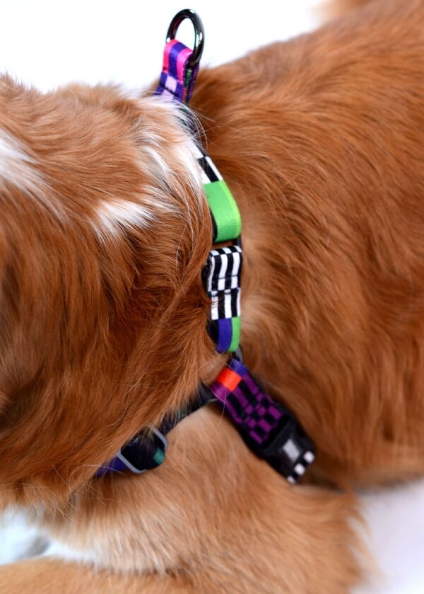 <strong>Wauke</strong> Non-Pull Glitch, Arnés Anti-Tirones para Perros, Tallas S - Imagen 5