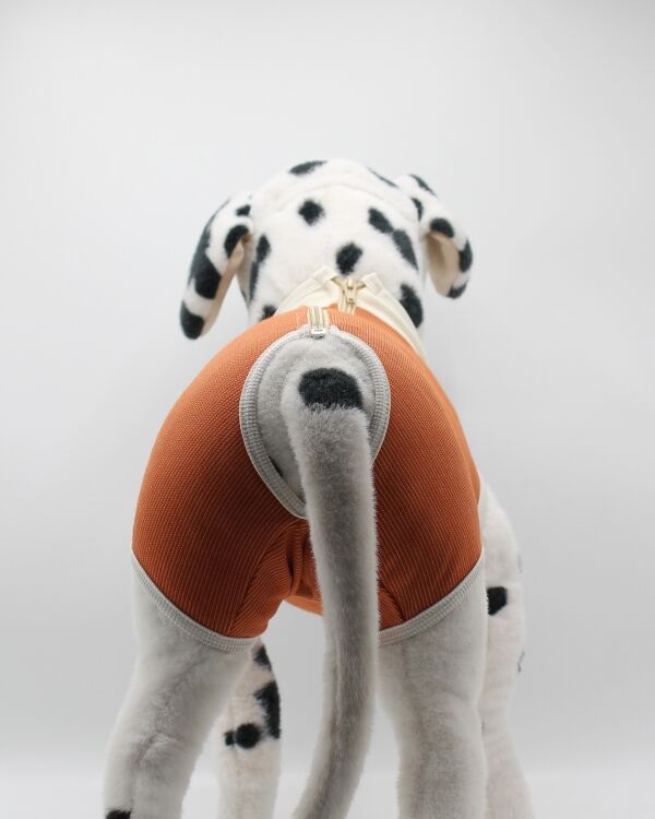 <strong>Kimba Vet</strong> Body de Cobre Tradicional para Perros y Gatos, Tecnología Antibacteriana - Imagen 3