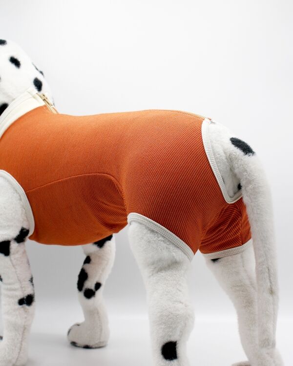 <strong>Kimba Vet</strong> Body de Cobre Tradicional para Perros y Gatos, Tecnología Antibacteriana - Imagen 2