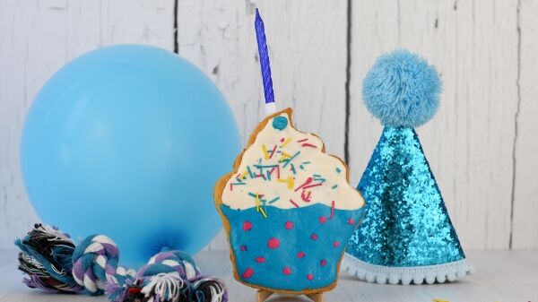 <strong>Festín Canino</strong> Kit Cumpleaños para Perros - Imagen 3