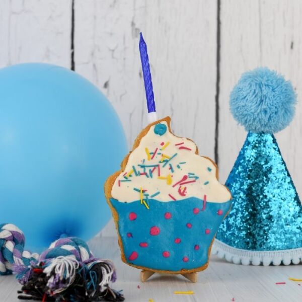 <strong>Festín Canino</strong> Kit Cumpleaños para Perros