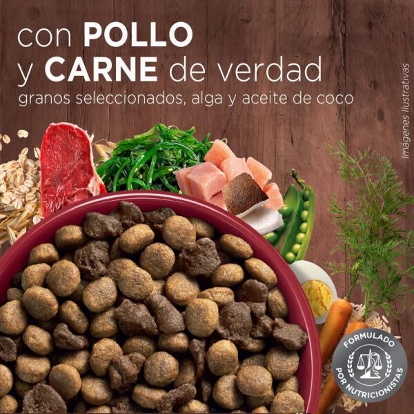 <strong>Purina ONE</strong> Alimento Seco para Perros, Adulto, Raza Mediana/Grande, Pollo y Carne, bolsa de 6-12 kg - Imagen 7