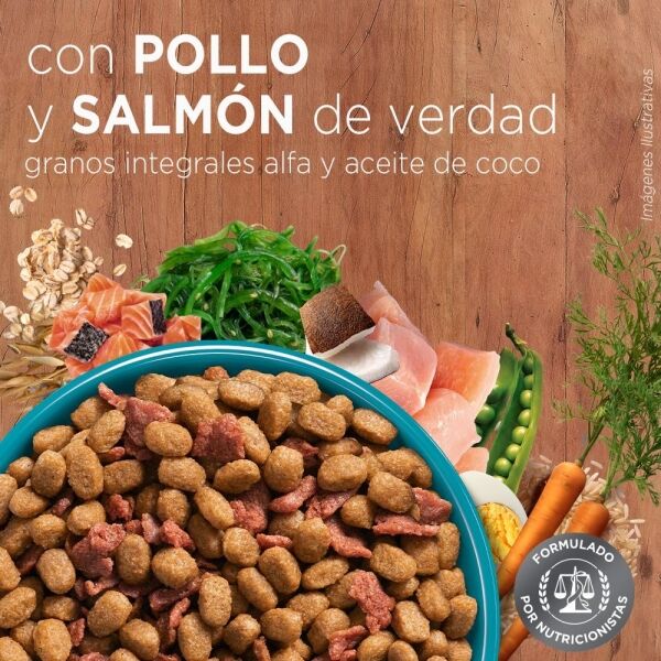 <strong>Purina ONE</strong> Alimento Seco para Gatos Adultos, Pollo y Salmón, bolsa de 2-6 kg - Imagen 7