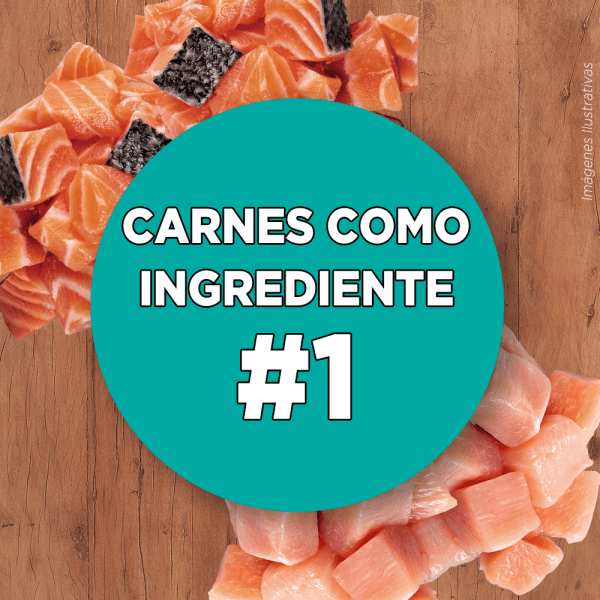 <strong>Purina ONE</strong> Alimento Seco para Gatos Adultos, Pollo y Salmón, bolsa de 2-6 kg - Imagen 5