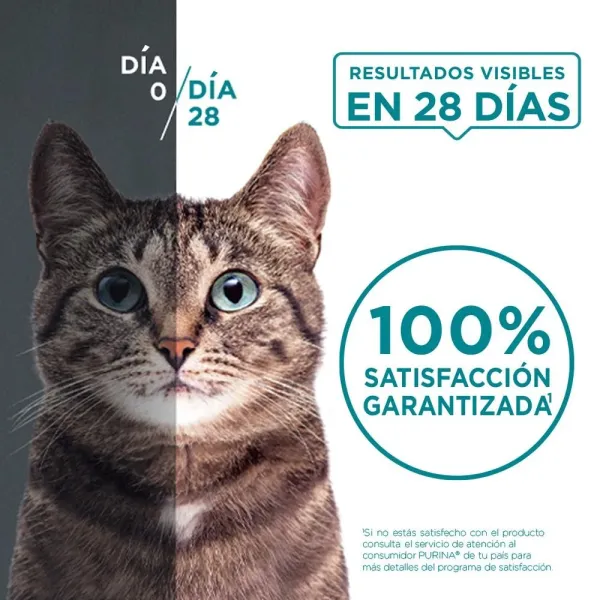 <strong>Purina ONE</strong> Alimento Seco para Gatos Esterilizados, Pollo y Salmón, bolsa de 2-6 kg - Imagen 4