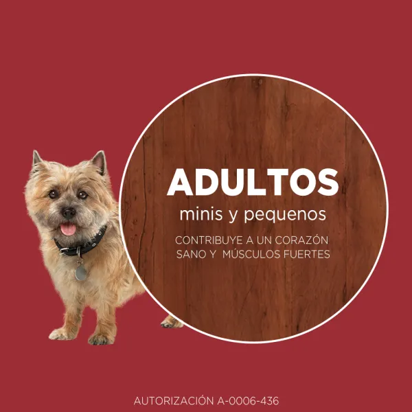 <strong>Purina ONE</strong> Alimento Seco para Perros, Adulto, Raza Mini/Pequeña, Pollo y Cordero, bolsa de 2-6 kg - Imagen 2