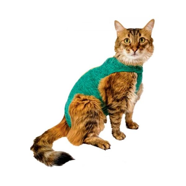 <strong>Pet Med</strong> Body Verde, Ropa Protectora y Posquirúrgica para Gatos, Tecnología UV50+ y Antimicrobiana