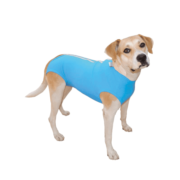 <strong>Pet Med</strong> Body Basic Post-Castración para Perros Machos, Celeste, Tallas 00-16