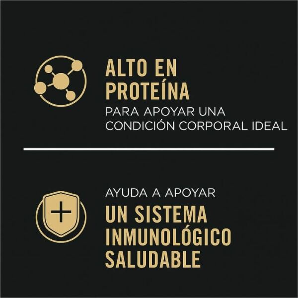 <strong>Purina Pro Plan</strong> Alimento Húmedo para Perros, Adulto, Pollo y Arroz, 368 gr por lata, pack de 12 latas - Imagen 3