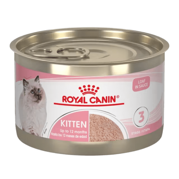 <strong>Royal Canin</strong> Kitten Third Age, Alimento Húmedo para Gatitos, Tercera Etapa de Crecimiento, Paté Mezcla de Carnes en Salsa, lata de 145 gr