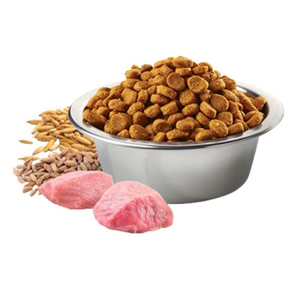 <strong>N&D</strong> Ancestral Grain Senior Mini Breed, Alimento Seco para Perros Senior, Raza Pequeña, Pollo, Granada, Avena y Cebada, bolsa de 2.5 kg - Imagen 2