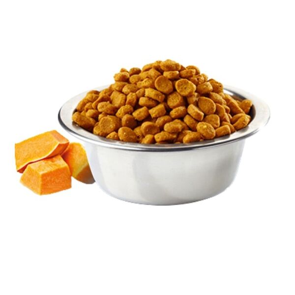 <strong>N&D</strong> Pumpkin Adult Cat, Alimento Seco para Gatos Adultos, Pollo, Calabaza y Granada, bolsa de 7.5 kg - Imagen 2