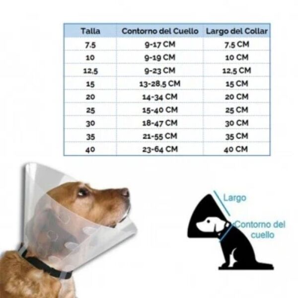 <strong>Collar Isabelino</strong> Tradicional para Perros y Gatos, talla desde 7,5 hasta 40 - Imagen 3