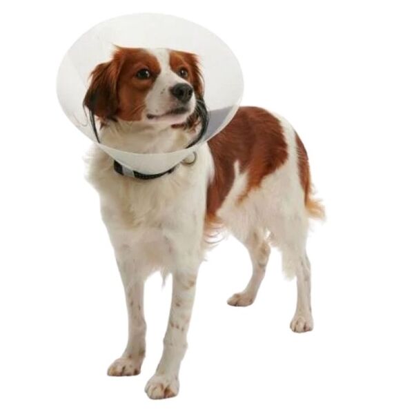 <strong>Collar Isabelino</strong> Tradicional para Perros y Gatos, talla desde 7,5 hasta 40 - Imagen 2