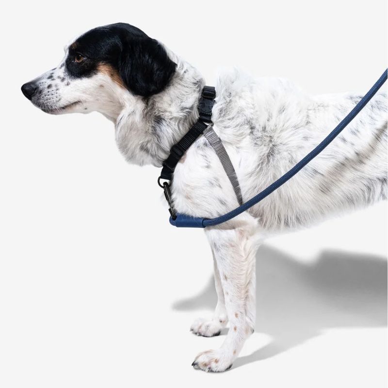 <strong>Zee.Dog</strong> Soft Walk Gotham, Arnés Anti-Tirones para Perros, Negro Gris, Talla S - Imagen 2