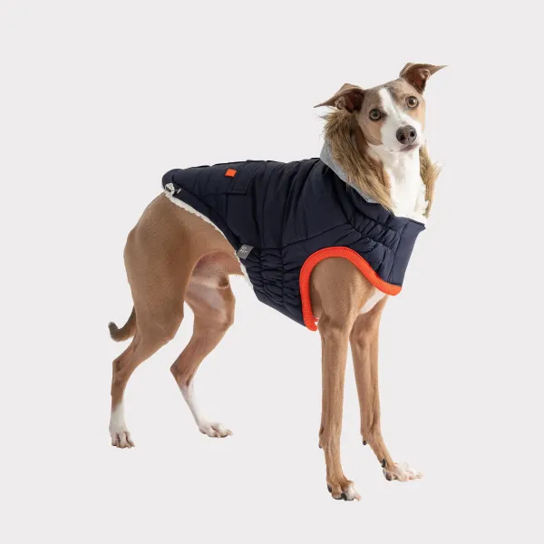 GF PET WINTER SAILOR NAVY - Imagen 3