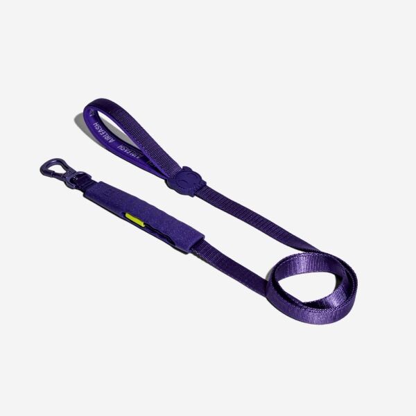 <strong>Zee.Dog</strong> Air Leash Violet, Correa Anti-Tirones de Polyester Suave de Alta Resistencia para Perros, Medidas: 1,5 mt de largo, 2,5 cm de ancho