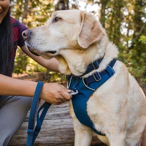 <strong>Ruffwear</strong> Front Range Blue Moon Arnés Anti-Tirones para Perros - Imagen 5