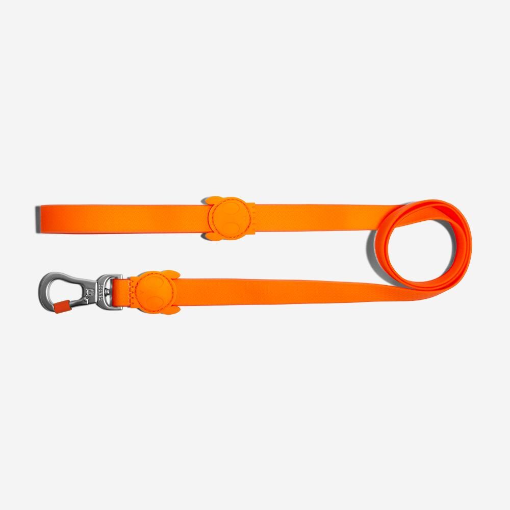 <strong>Zee.Dog</strong> Neopro Tangerine, Correa de Polyester Suave de Alta Resistencia, Tallas S - Imagen 3
