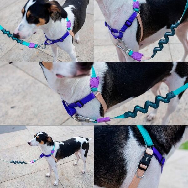 <strong>Zee.Dog</strong> Soft Walk Boogie, Arnés Anti-Tirones para Perros, Celeste Morado Beige, Talla M - Imagen 4