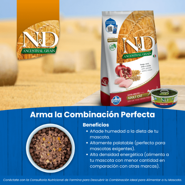 <strong>N&D</strong> Ancestral Grain Adult Cat, Alimento Seco para Gatos Adultos, Pollo, Granada Avena y Cebada, bolsa de 1.5 kg - Imagen 7
