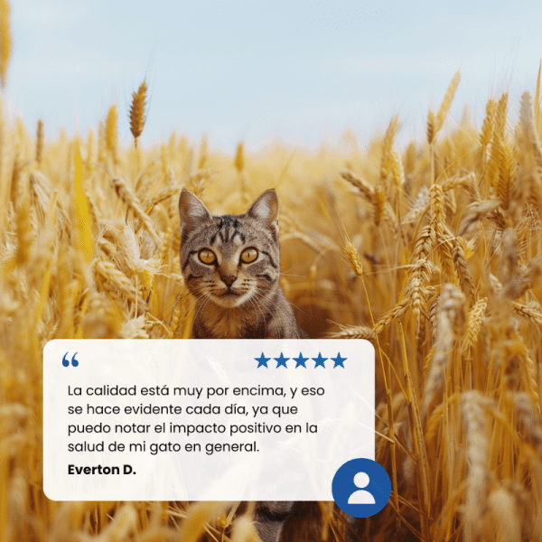 <strong>N&D</strong> Ancestral Grain Adult Cat, Alimento Seco para Gatos Adultos, Pollo, Granada Avena y Cebada, bolsa de 1.5 kg - Imagen 8