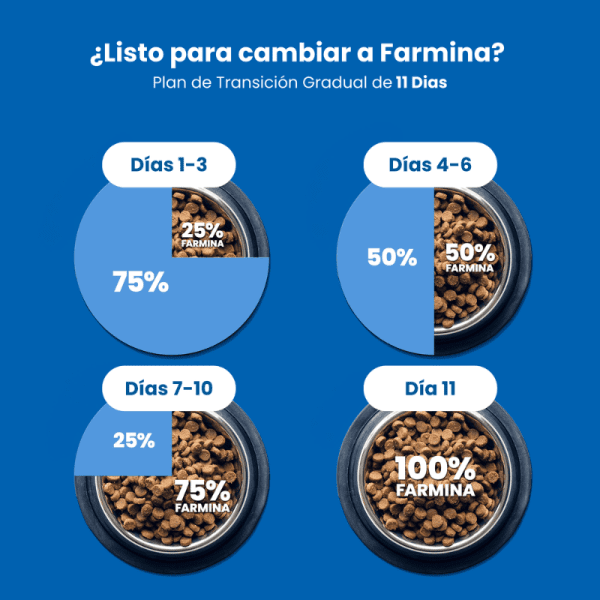 <strong>N&D</strong> Ancestral Grain Adult Cat, Alimento Seco para Gatos Adultos, Pollo, Granada Avena y Cebada, bolsa de 1.5 kg - Imagen 9