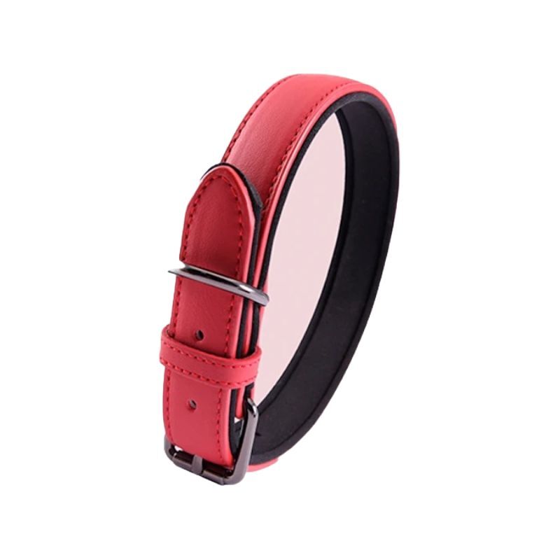 <strong>Wonder Dog</strong> Collar Eco Cuero para Mascotas, Color Rojo, Medidas: 2×43 cm